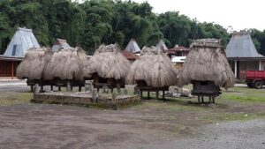 Best Komodo and Flores Partner